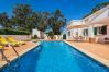 Villa em Albufeira - Villa Bia OCV - Piscina Privada
