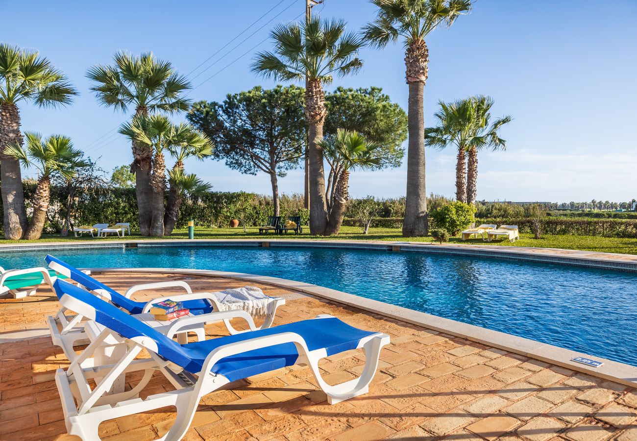 Apartamento em Albufeira - Apt Estrelicia OCV - Piscina e Estacionamento