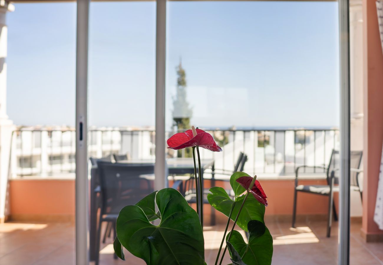 Apartamento em Albufeira - Apt. Deluxe OCV - Piscina & Vista sobre Albufeira