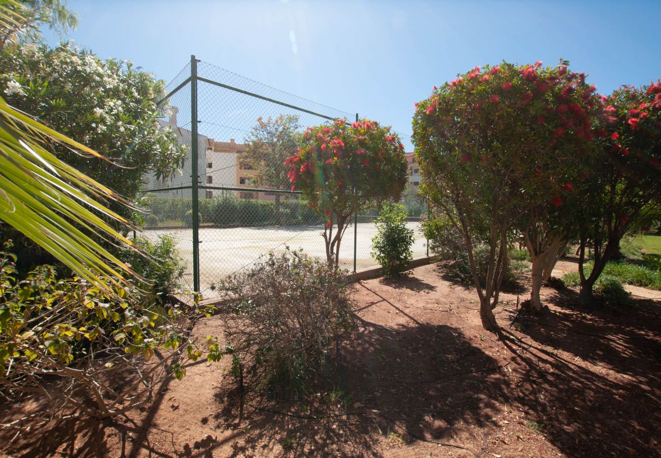 Studio in Albufeira - Ondas Verdes - Central, Pool & Tenis Court