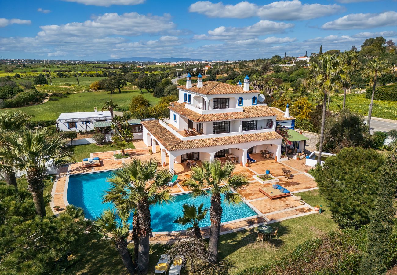 Apartment in Albufeira - Flat Acacia OCV - Pool & Private Parking