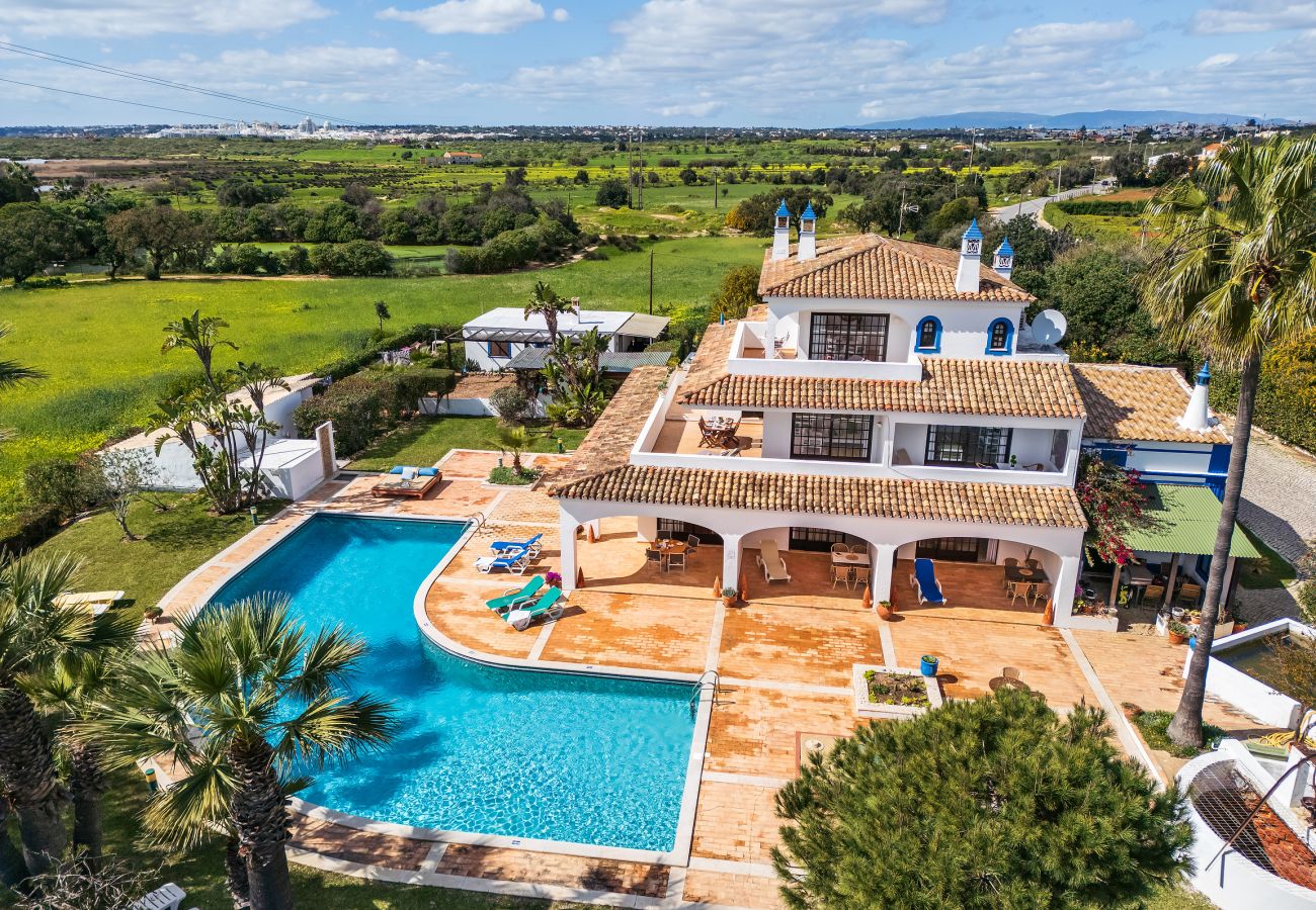 Apartment in Albufeira - Flat Cacto OCV - Pool & Private Parking