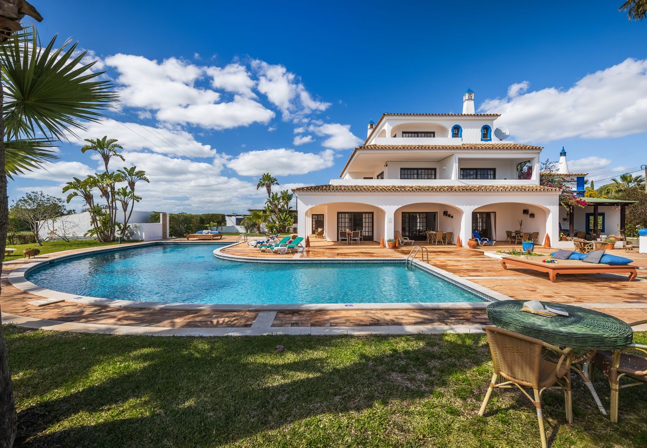 Apartment in Albufeira - Flat Cacto OCV - Pool & Private Parking