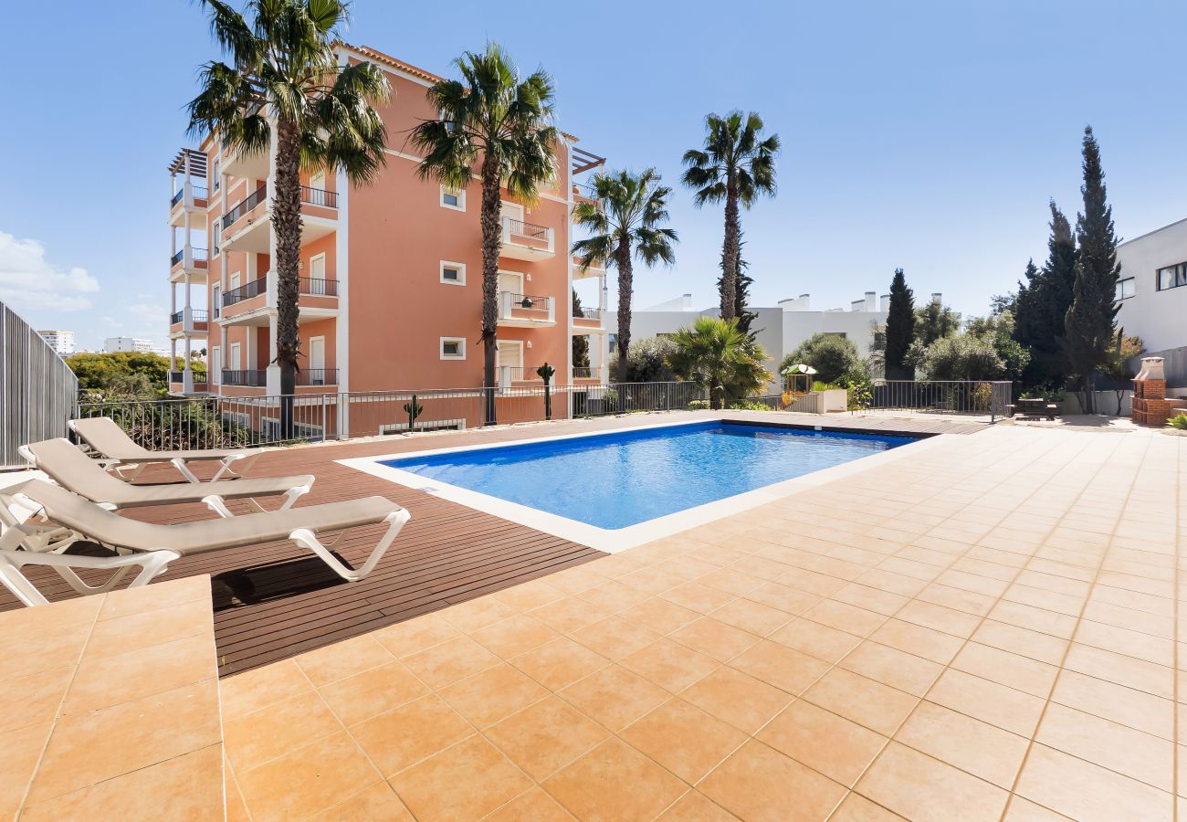 Apartment in Albufeira - Apt. Deluxe OCV - Pool & Albufeira View